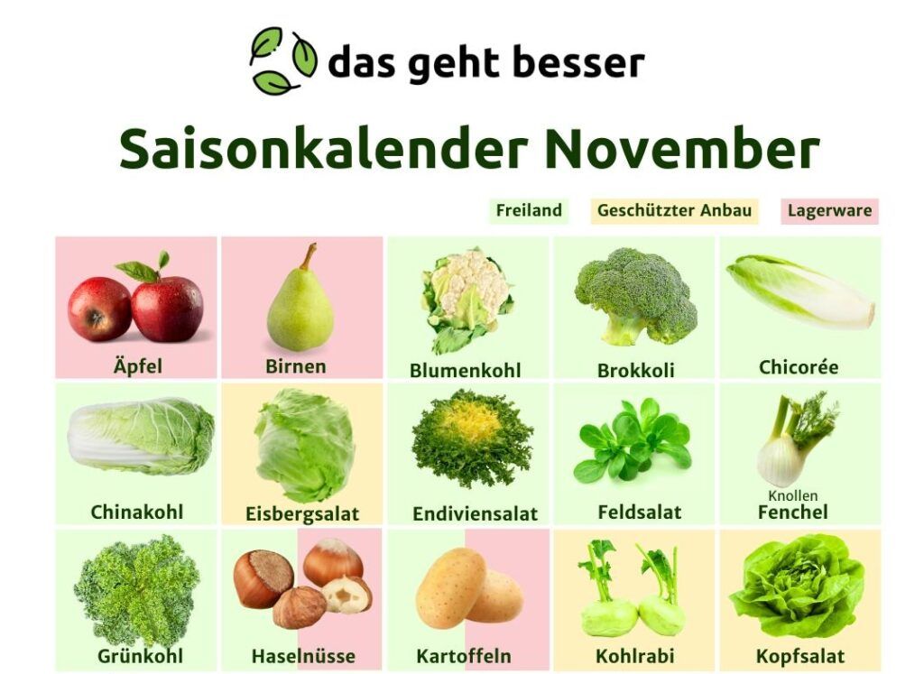 Saisonkalender November