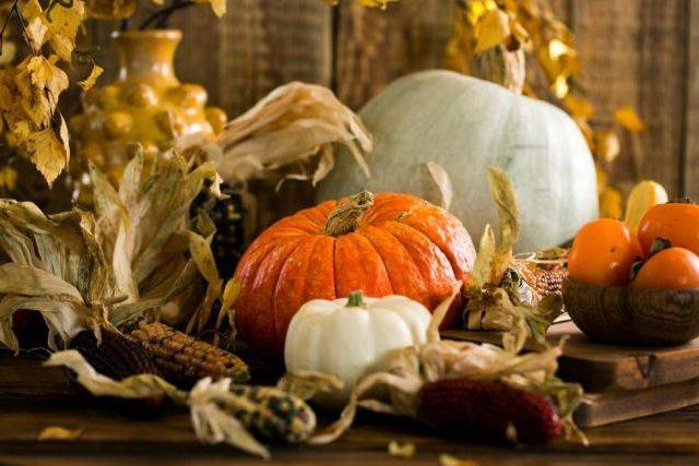 Herbst-Rezepte November