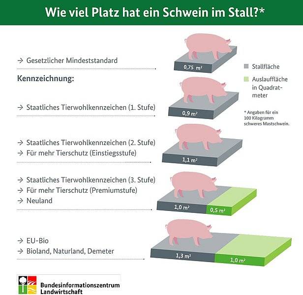 Schweinemast