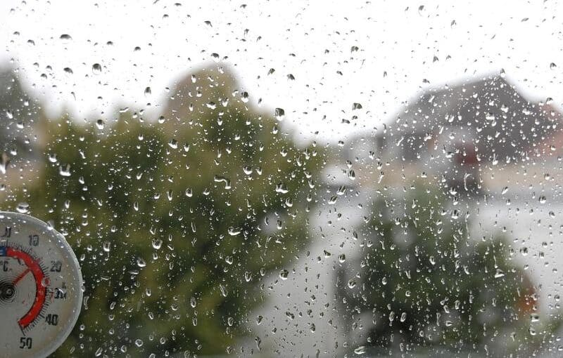Fensterputzen ohne Schlieren: Warum zwei Zutaten reichen